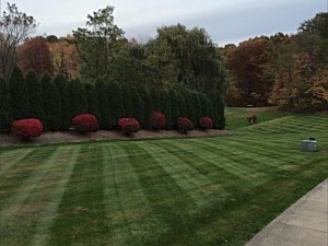 Lawn Striping, Beachwood, OH 